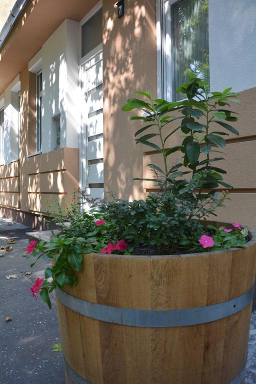 Bodza Apartmanok Eger Ngoại thất bức ảnh